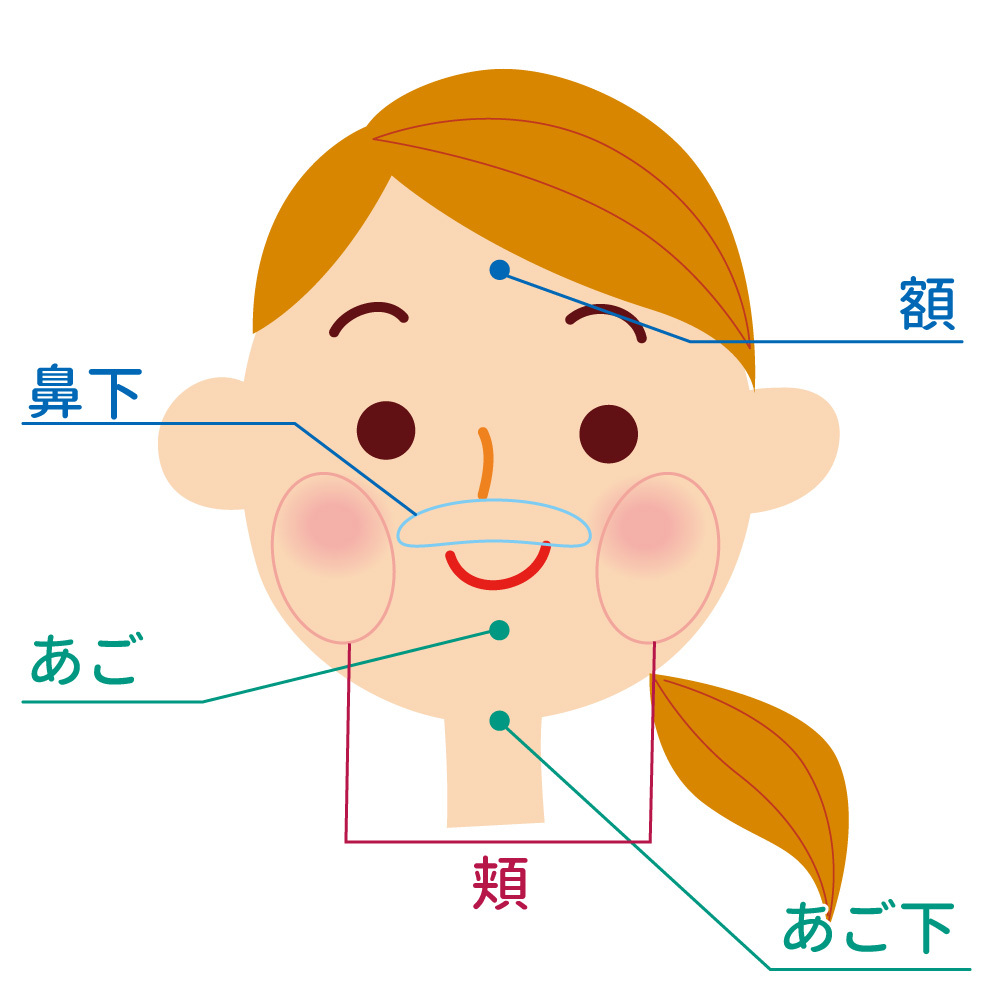女性顔脱毛部位